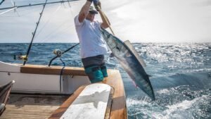 Trolling Fishing 111600X900_0000_Trolling Fishing 4