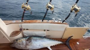 Trolling Fishing 111600X900_0002_Trolling Fishing2